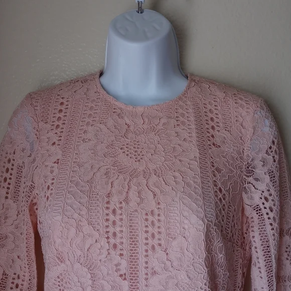 H&M Women's Blush Lace Mini Dress - Picture 15 of 15